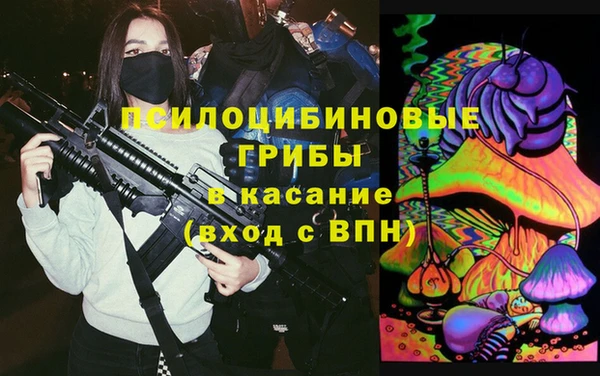 эйфоретик Алзамай