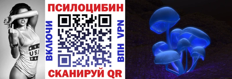 Псилоцибиновые грибы мицелий Завитинск