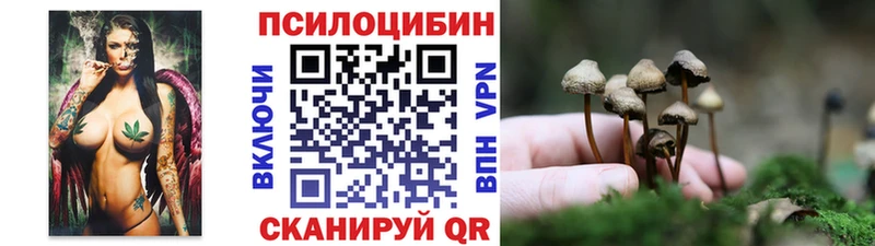 цена   Завитинск  Галлюциногенные грибы GOLDEN TEACHER 