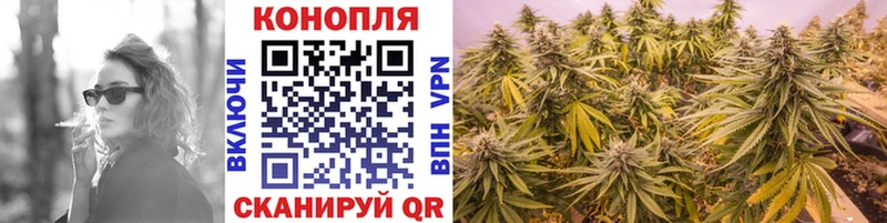 блэк спрут ONION Завитинск Канабис Amnesia это формула как найти